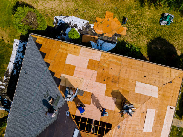 Best Storm Damage Roof Repair  in Alorton, IL