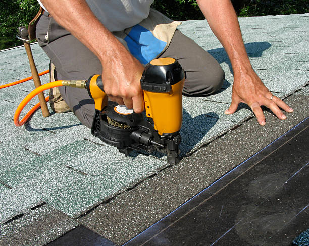 Best Roof Repair Services  in Alorton, IL