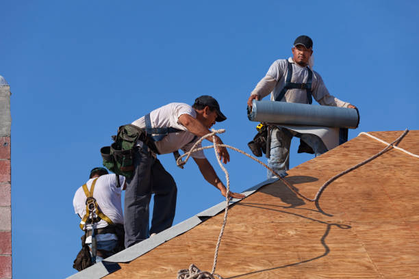 Best Commercial Roofing Services  in Alorton, IL
