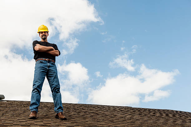 Best Affordable Roof Replacement  in Alorton, IL