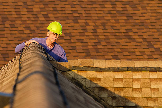 Best Best Roofing Contractors  in Alorton, IL
