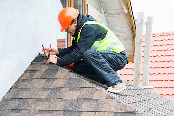 Best Roof Gutter Cleaning  in Alorton, IL